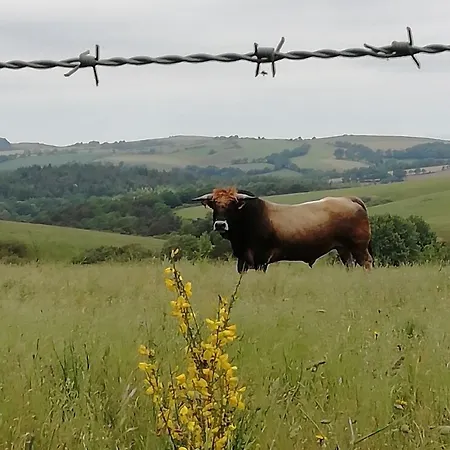 Logis Restaurant Des Voyageurs 2* 蓬德萨拉尔