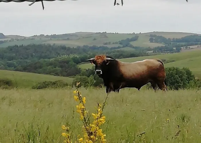 Logis Des Voyageurs 2* Pont-de-Salars